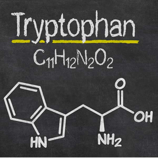 The molecular model of Tryptophan C11H12N2O2